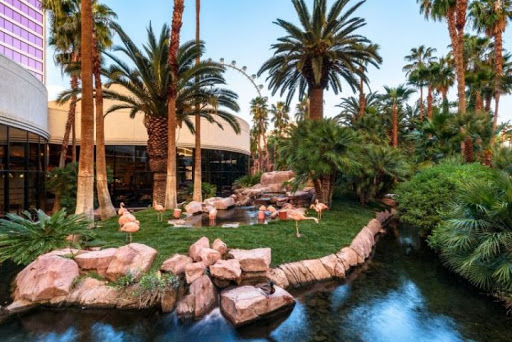 Flamingo Hotel Animal Habitat
