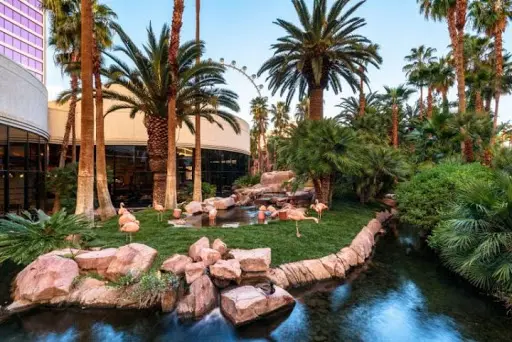 Flamingo Hotel Animal Habitat