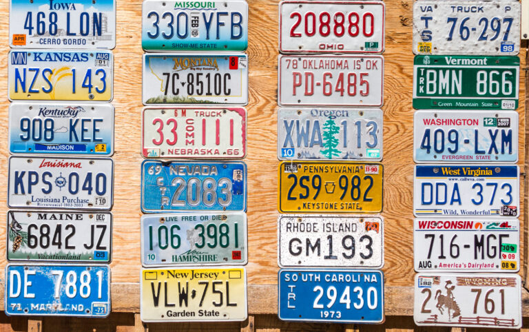The License Plate Game How To Play Daddy Lawn Games