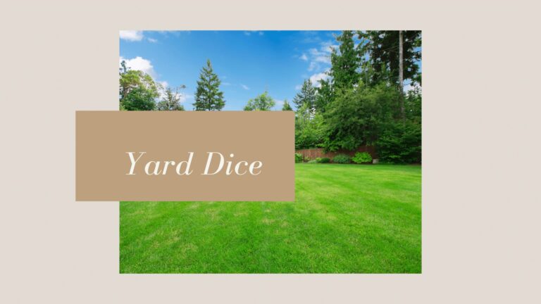 best yard dice