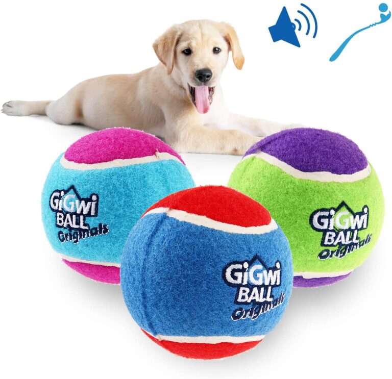 8 Best Tennis Balls for Dogs 2023 Review and Buying Guide